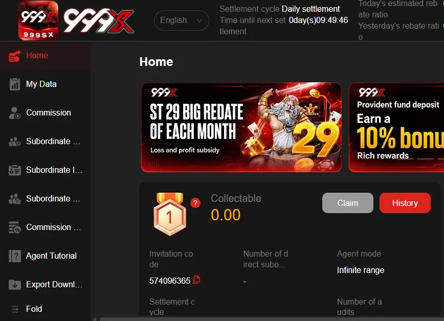 999x financial detail